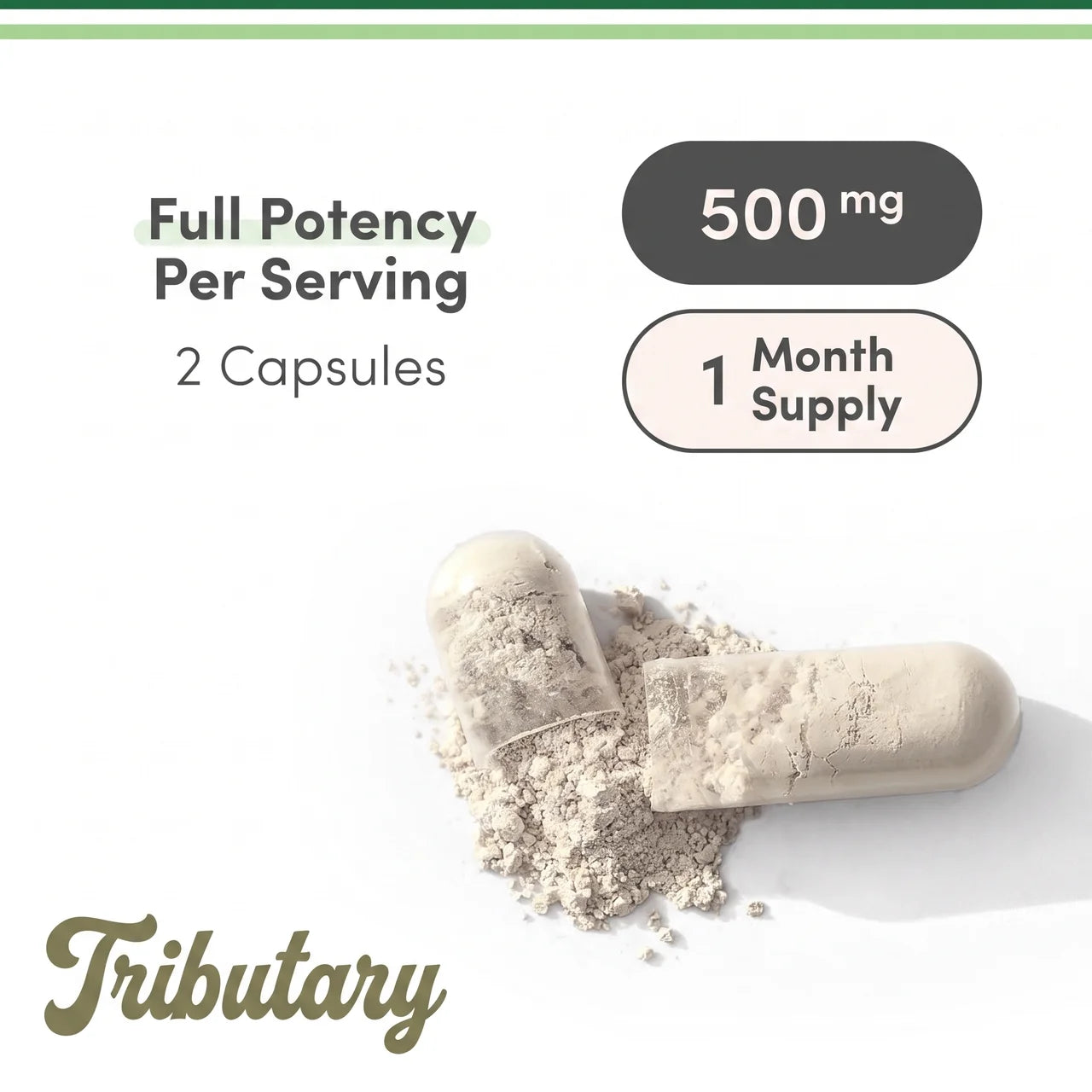 TUDCA 500mg