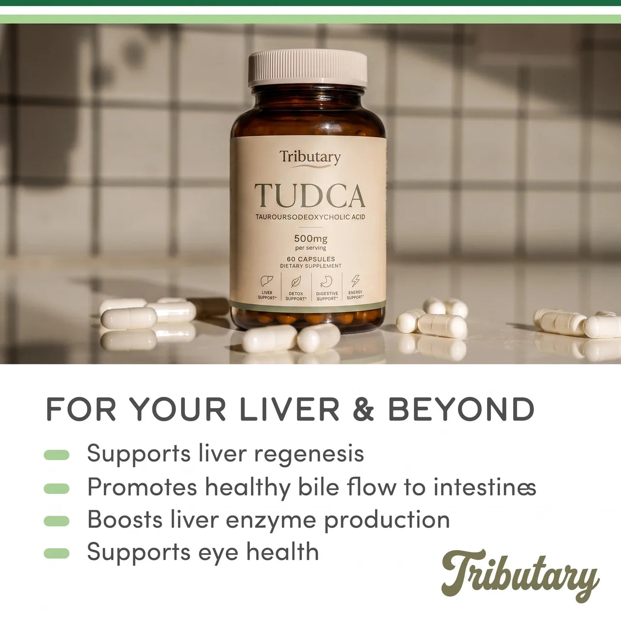TUDCA 500mg